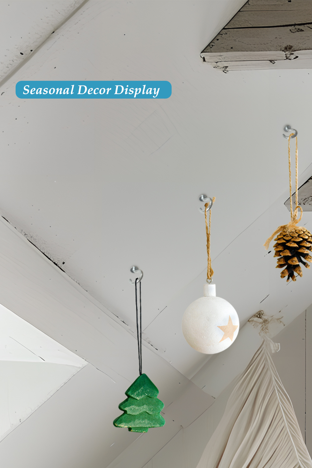 Easy-to-Change Plant Displays