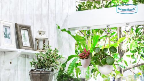 HomeHand Plant Hanger Hooks | Cup Hooks Screws with Washer