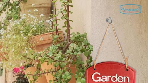 HomeHand Cup Hook | Useful Tool for Chaos Gardening Fun